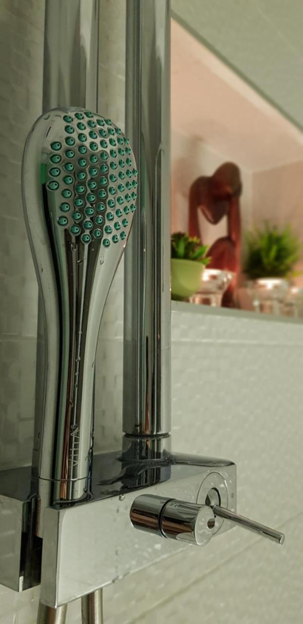 Apartment Plaza ----Wallbox 11Kw 16A ----- Private Spa- Jacuzzi, Infrared Sauna, Luxury Massage Chair, Parking, Entry With Pin 0 - 24H, Free Cancellation 24 Hours Before Check In Slavonski Brod Exteriör bild
